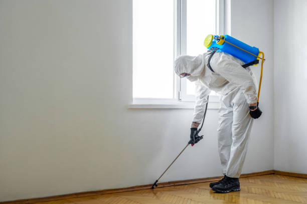 Best Mosquito Control Services  in Winchester, IL