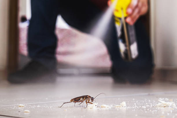 Best Wasp Removal Services  in Winchester, IL